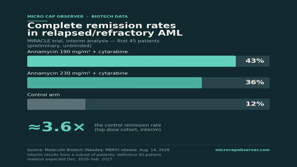 Moleculin's AML Trial Shows a Threefold Interim Remission Advantage - But the Definitive Readout Is Still Ahead